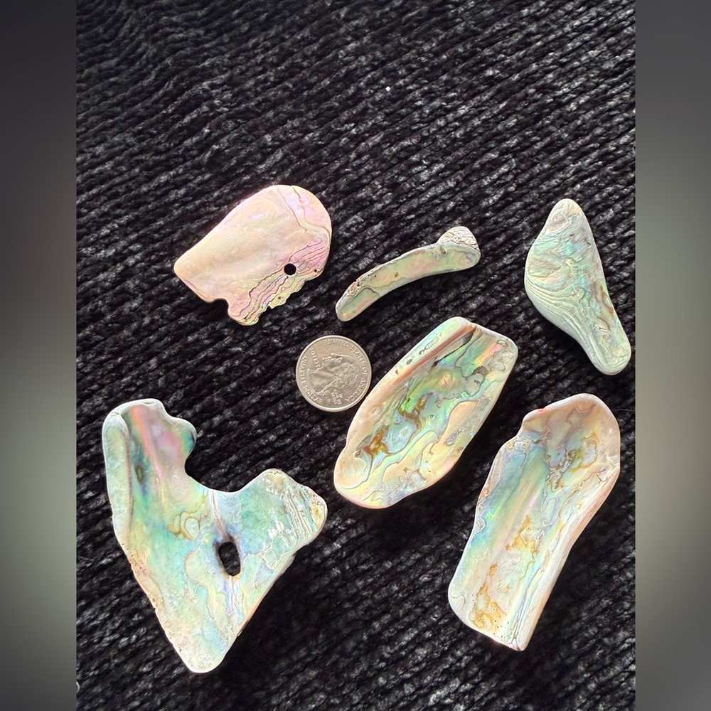 Colorful Abalone Shell Pieces
